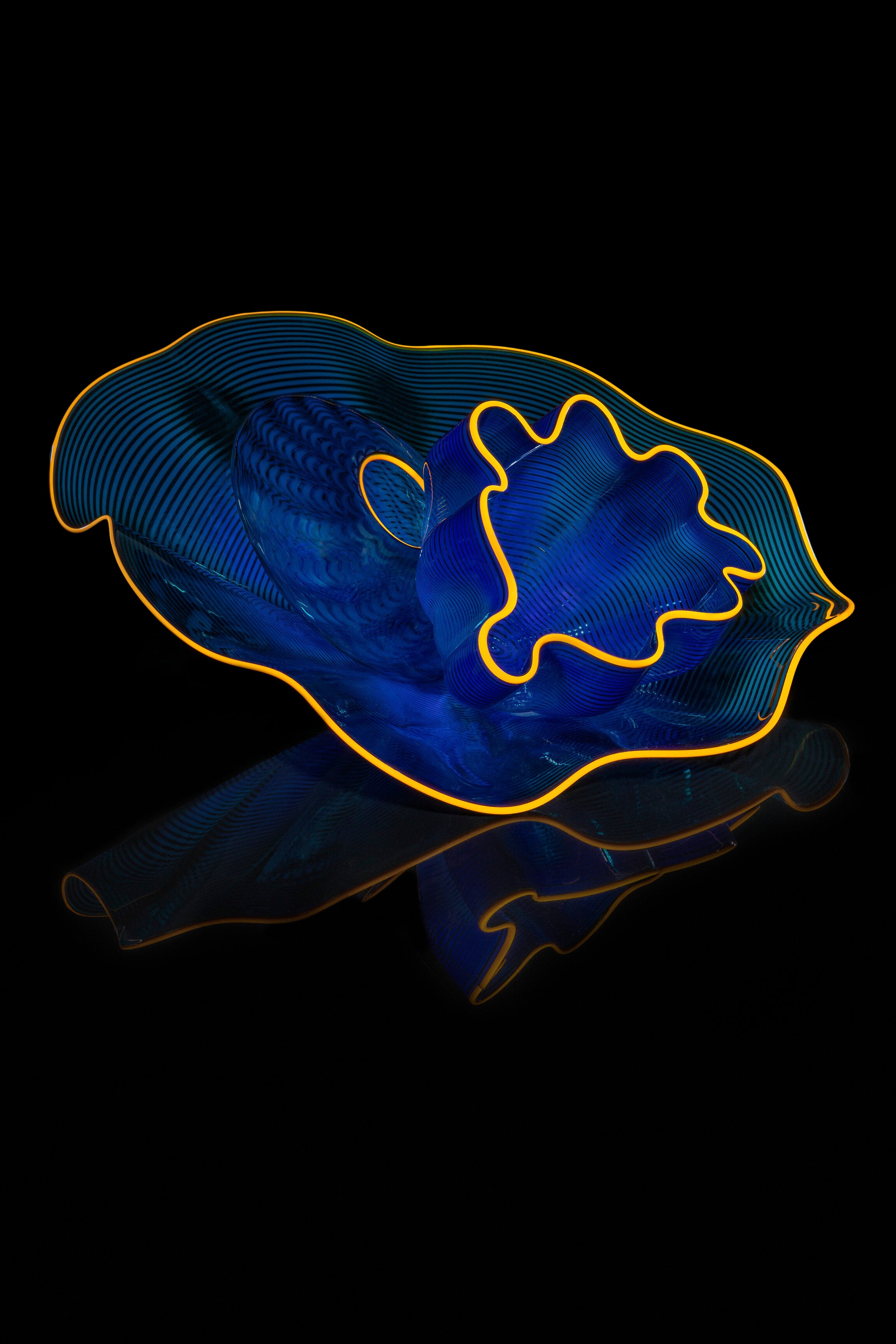 Royal Sapphire Seaform