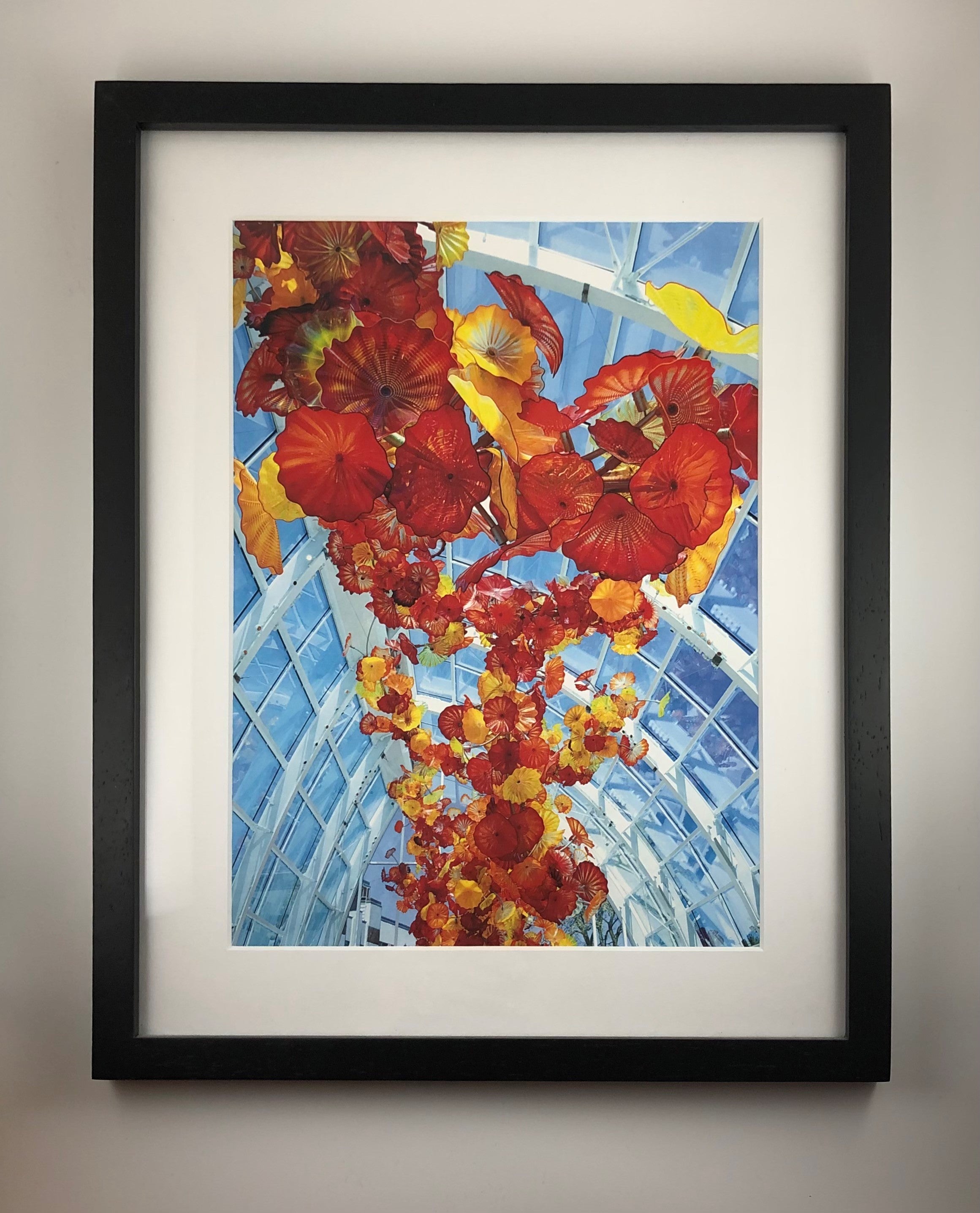 Framed Matted Photos