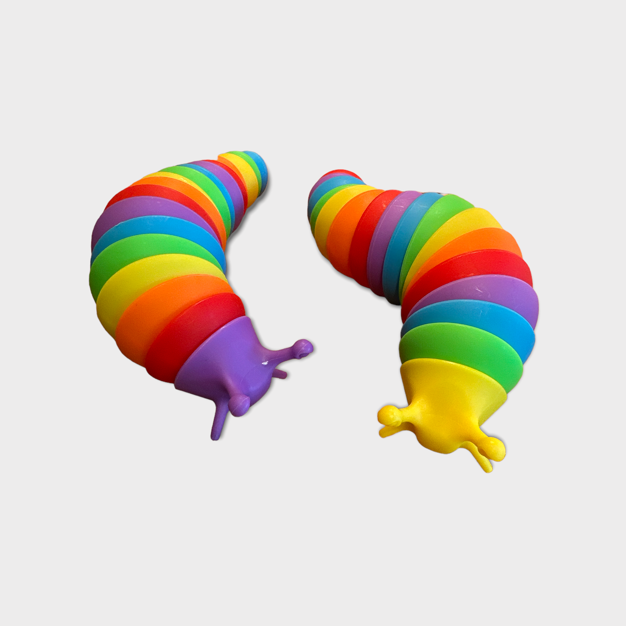 Rainbow Slug Fidget Toy