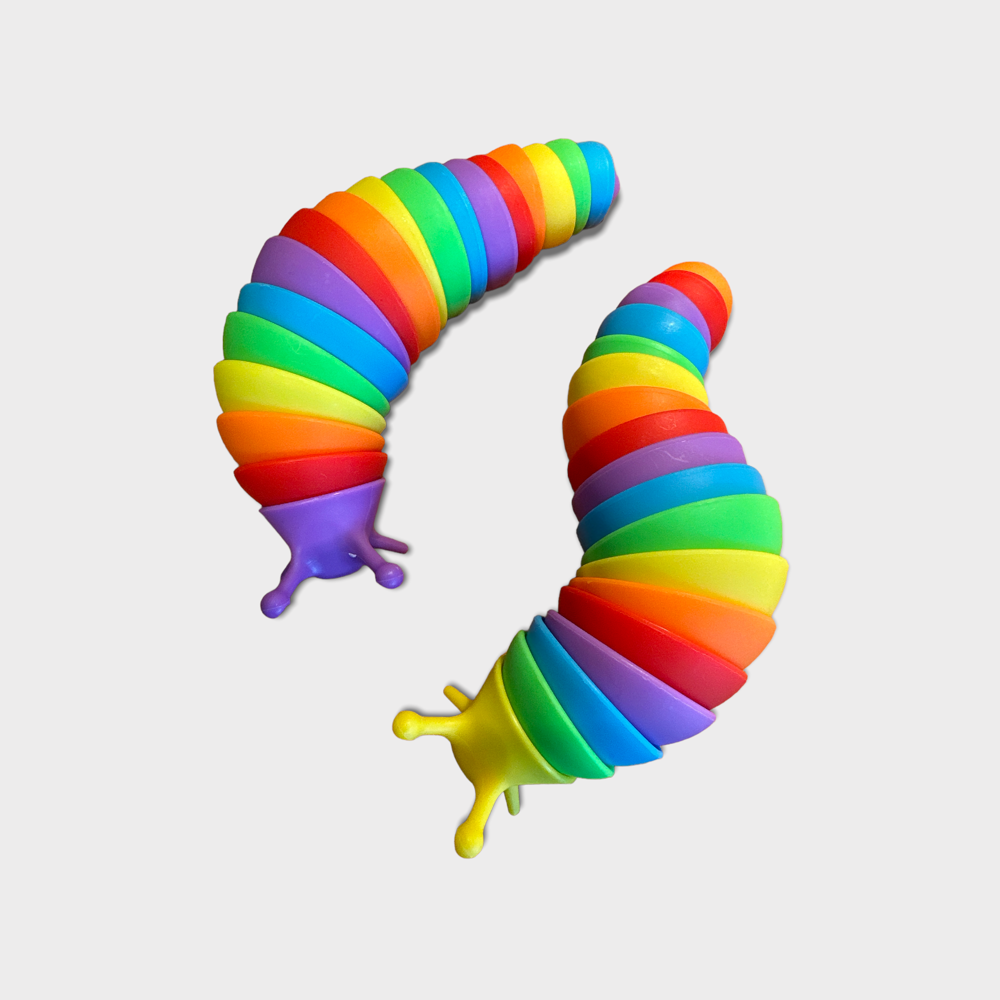 Rainbow Slug Fidget Toy