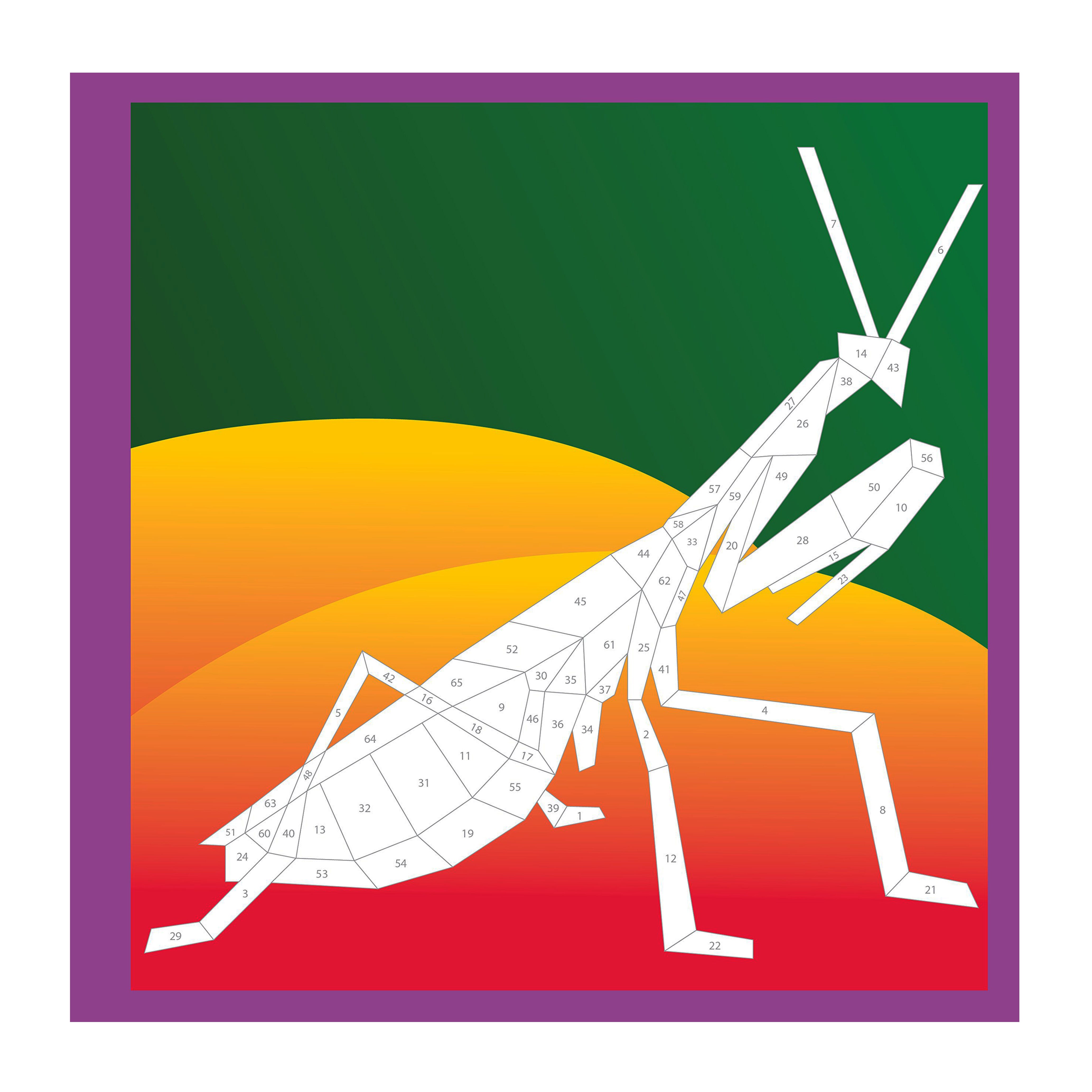 Beautiful Bugs, Paint by Sticker Book