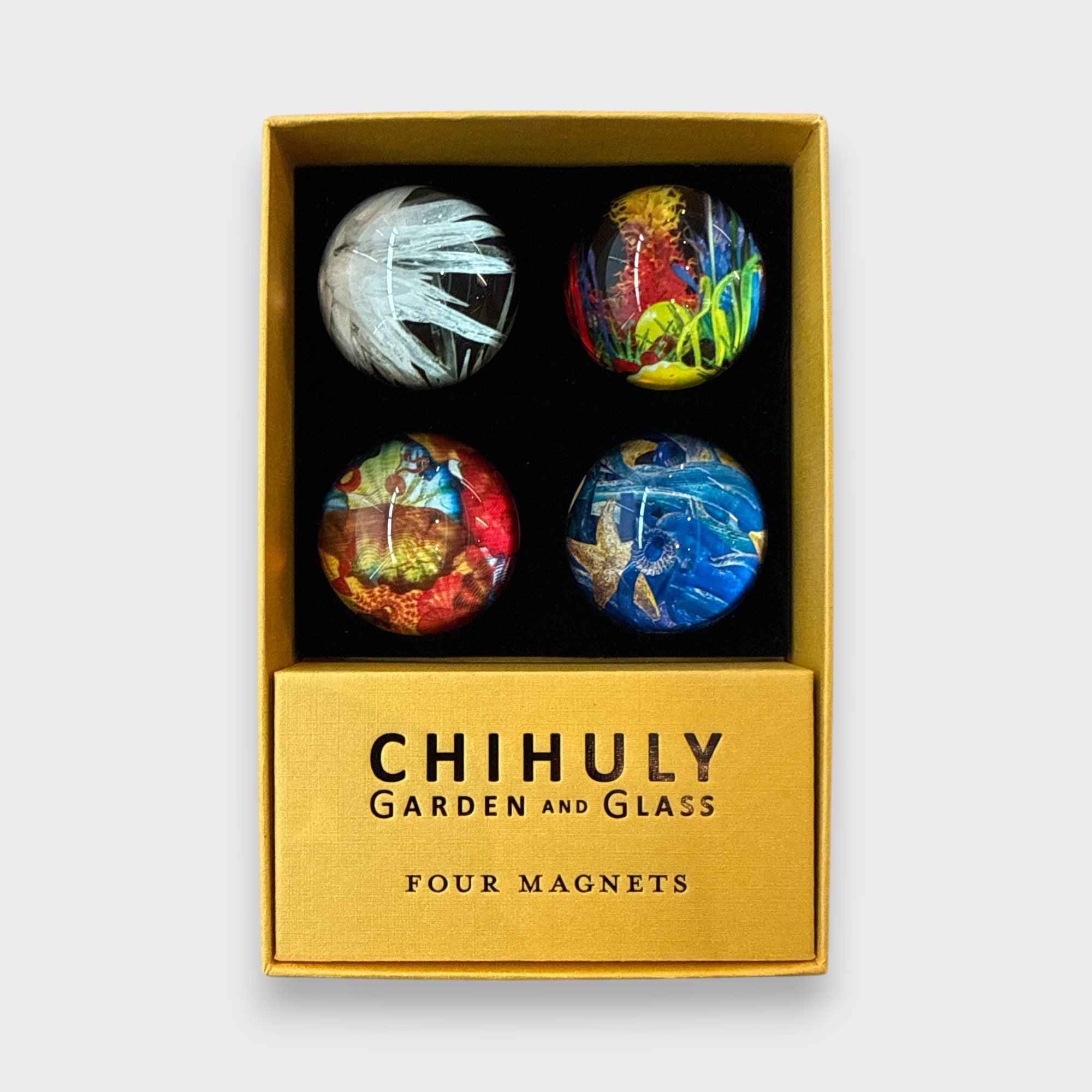 Chihuly Acrylic Domed Magnets 4 Pack
